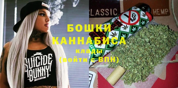 сатива Мегион