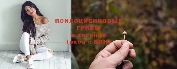 индика Лихославль