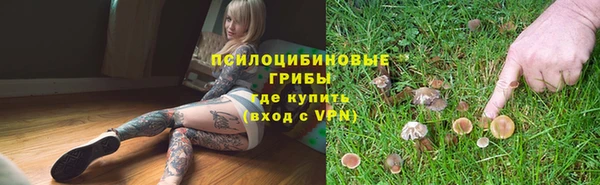 индика Лихославль