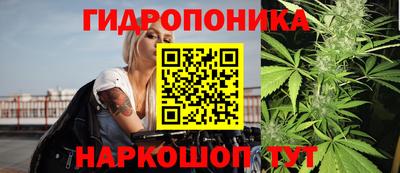 СК Пушкино