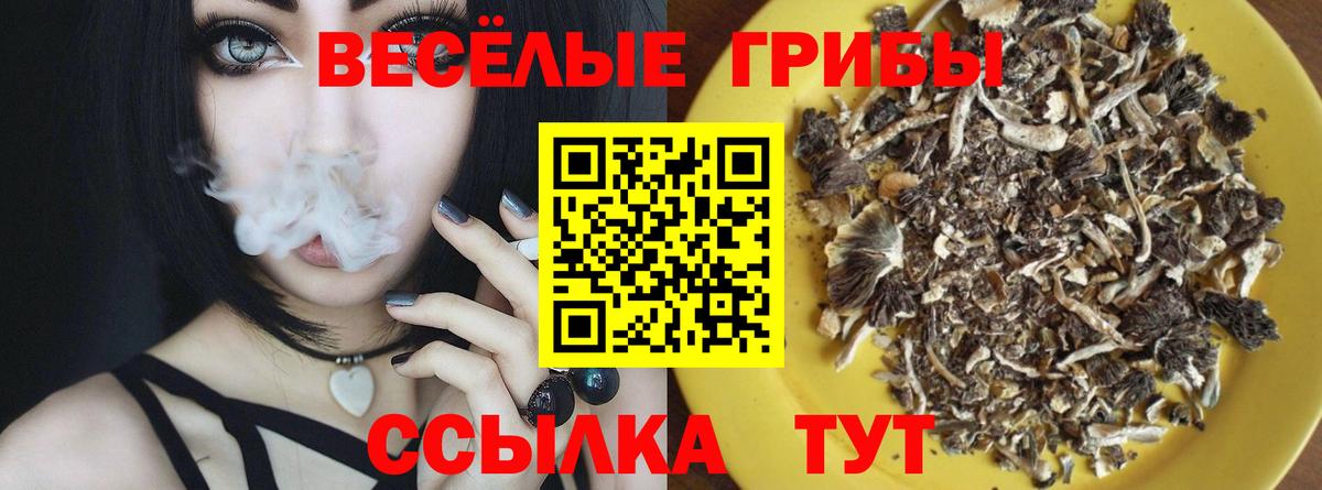 Галлюциногенные грибы Psilocybine cubensis Лыткарино