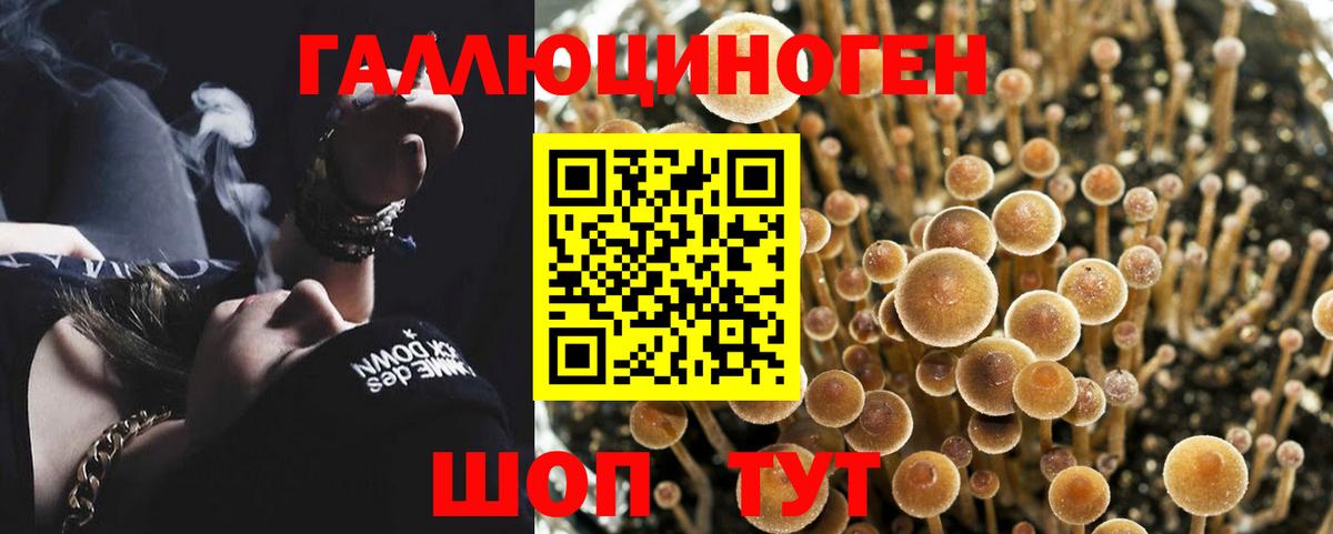 Псилоцибиновые грибы GOLDEN TEACHER  Вход с VPN  Галлюциногенные грибы мухоморы  Лыткарино 